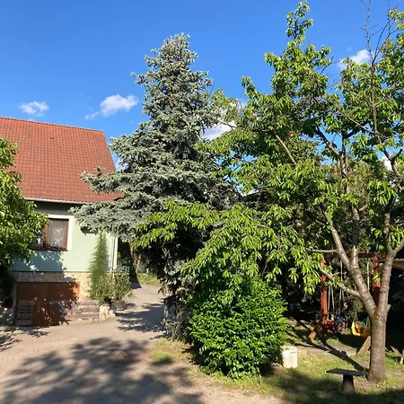 Magdalena Vendeghaz * Aba