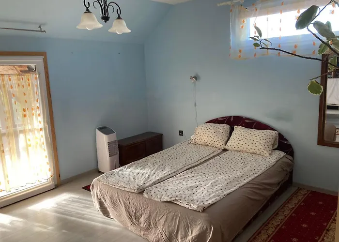 Magdalena Vendeghaz アパート *